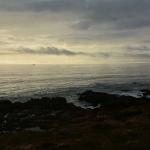 Cambria_0117 (November 04, 2017)